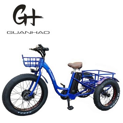 48V21AH μπαταρία CE ΗΠΑ αγορά 750W 8FUN μπροστινός κινητήρας 24-20 ιντσών 3 τροχών λίπος ελαστικό ηλεκτρικό ρικσά