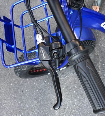 Οδήγηση ηλεκτρικού τύπου 24&quot;x4.0 Fat Tire Ηλεκτρικό φορτηγό τρίκυκλο με 48V 1000w κινητήρα