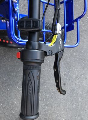 Οδήγηση ηλεκτρικού τύπου 24&quot;x4.0 Fat Tire Ηλεκτρικό φορτηγό τρίκυκλο με 48V 1000w κινητήρα