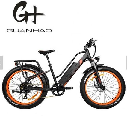 750W 50KM/H A2B CE Κινέζικο OEM 48V Motor Fat Tire Ηλεκτρικό ποδήλατο βουνού Καλό Ωραίο