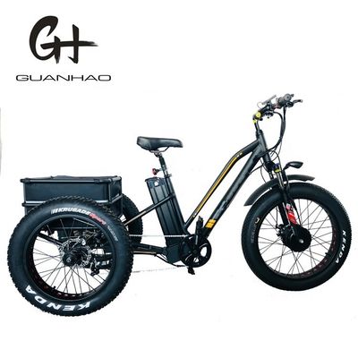 ΗΠΑ 24&quot;20&quot; Μηχανοκίνητο Bafang 8fun 750W 48V 17a Ενήλικες 3 τροχούς φορτίο Ebike Ηλεκτρικό τρίκυκλο