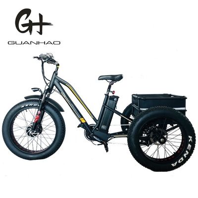 ΗΠΑ 24&quot;20&quot; Μηχανοκίνητο Bafang 8fun 750W 48V 17a Ενήλικες 3 τροχούς φορτίο Ebike Ηλεκτρικό τρίκυκλο