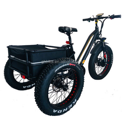 ΗΠΑ 24&quot;20&quot; Μηχανοκίνητο Bafang 8fun 750W 48V 17a Ενήλικες 3 τροχούς φορτίο Ebike Ηλεκτρικό τρίκυκλο