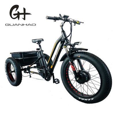 ΗΠΑ 24&quot;20&quot; Μηχανοκίνητο Bafang 8fun 750W 48V 17a Ενήλικες 3 τροχούς φορτίο Ebike Ηλεκτρικό τρίκυκλο