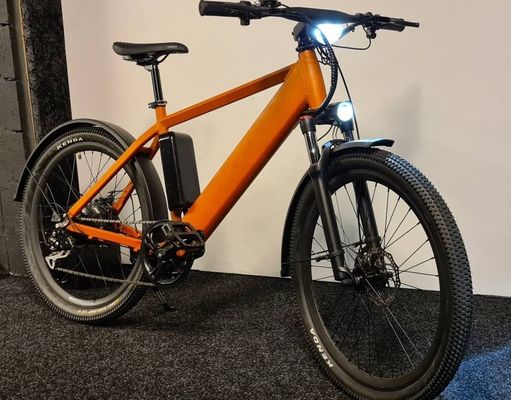 1000W 48V 14AH κρυμμένη μπαταρία κρυμμένη E-MTB LCD οθόνη ηλεκτρικό ποδήλατο βουνού για σας
