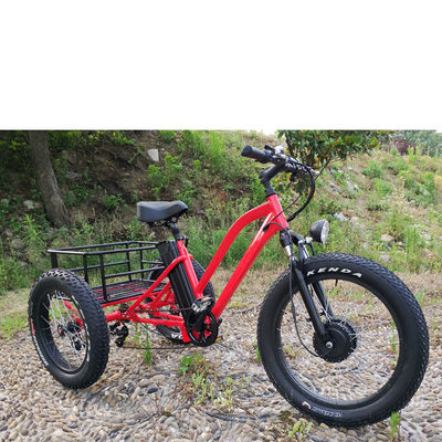 Ηλεκτρικό ποδήλατο για ενήλικες 500W φορτίου 3 τροχών με γωνία από λιπαρό αλουμίνιο και πιστοποιητικό EN71
