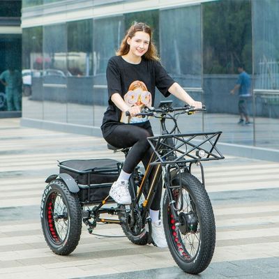 750W μπροστινός κινητήρας 4.0 ελαστικό χιόνι EN15194 φορτίο ηλεκτρικό φορτηγό τριποδήλατο με φρένο δίσκου