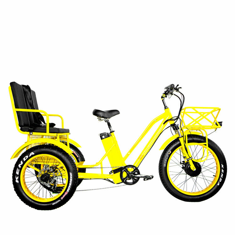 24 ιντσών ηλεκτρικό τρίκυκλο Etrike με 750W κινητήρα και 21AH μπαταρία λιθίου 40KM / H Max ταχύτητα