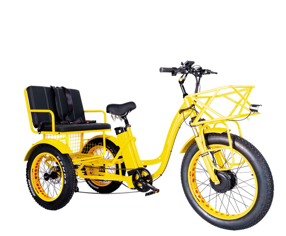 Ηλεκτρικό Ρίκσα 750W Μπροστά BaFang κινητήρα 21AH μπαταρία λιθίου 60KM ΗΠΑ Ενήλικες 24 &quot; χιονισμένο χιόνι μεγάλο ελαστικό Μεγάλο κάθισμα επιβατών