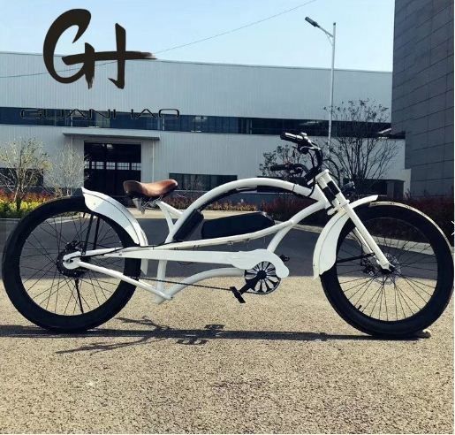 Άντρες 24 ιντσών 3.0 ελαστικό 48V 17AH OEM/ODM 750W 28MPH Single Speed Bafang Motor Display Chopper Ηλεκτρικό ποδήλατο