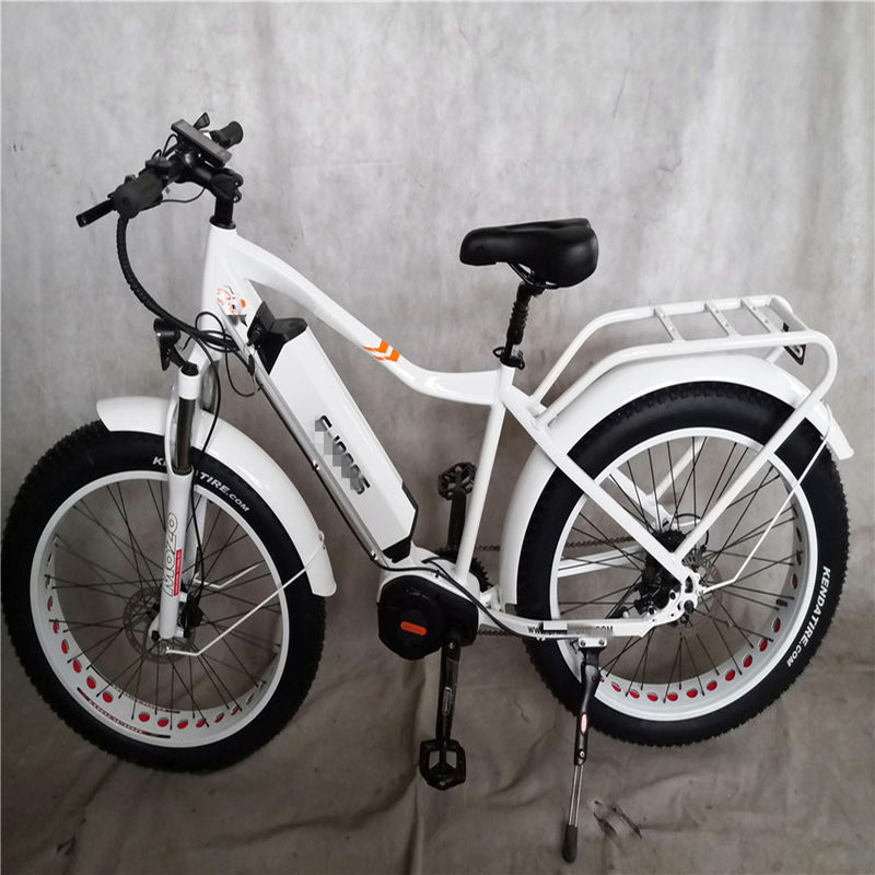 1000W Bafang Mid Drive Motor Alloy Rear Carrier Κεντρικό ηλεκτρικό ποδήλατο με πρότυπα