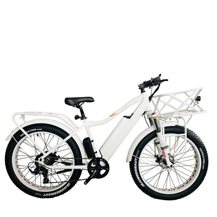 26&quot; 4.0 Big Snow Fat Tire Ηλεκτρικό ποδήλατο με δίσκο φρένο και 1000W 48V 17AH πίσω BaFang κινητήρα