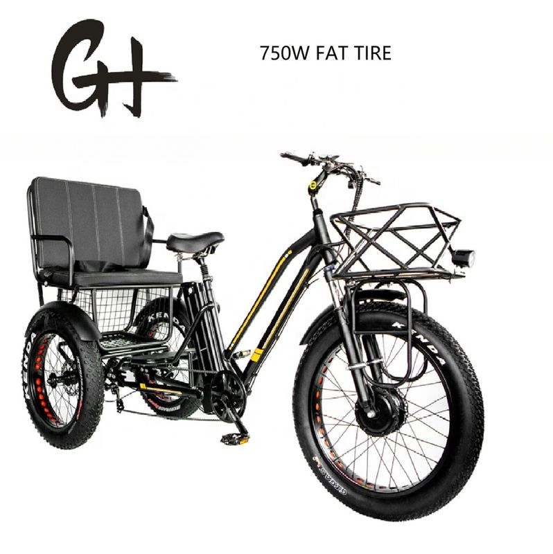 Bafang 750W Motor Electric Tricycle με Fat Tire E Τρεις τροχούς και κάθισμα επιβατών