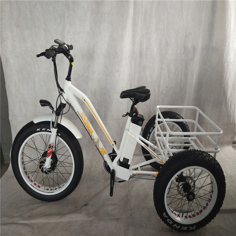 750W 48V 4,0 "Fat ελαστικό 3 τροχούς E Trike Ηλεκτρικό φορτηγό ποδήλατο κράμα Rim 6 Speed ΗΠΑ Hot
