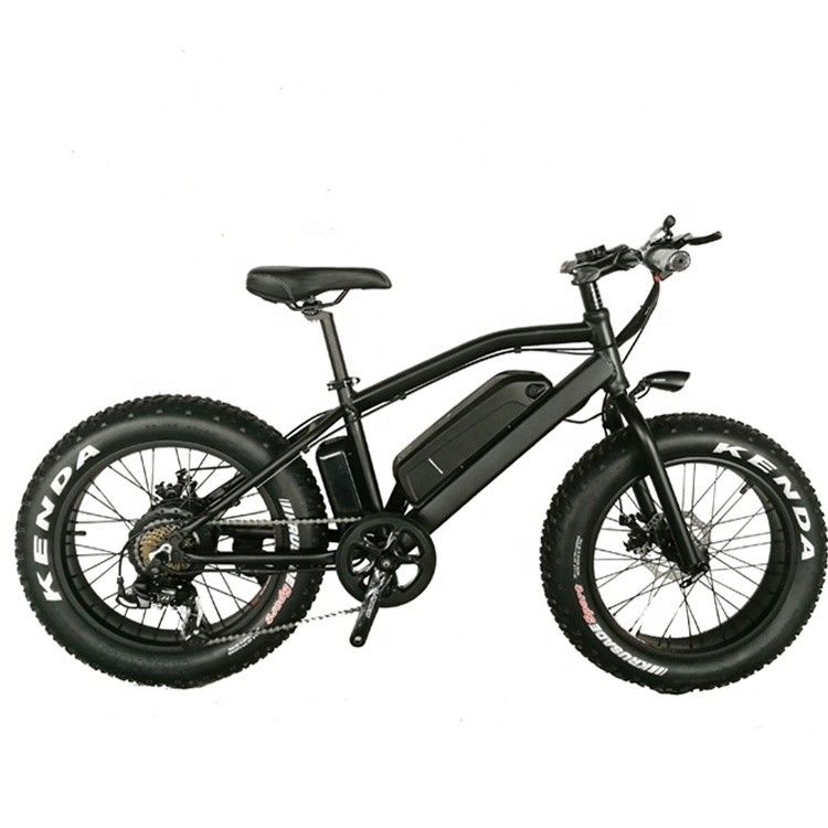 20 ιντσών Aluminum Alloy Frame Boy Mini 48V 4.0 USA CE 750W Kid Mountain Ηλεκτρικό ποδήλατο