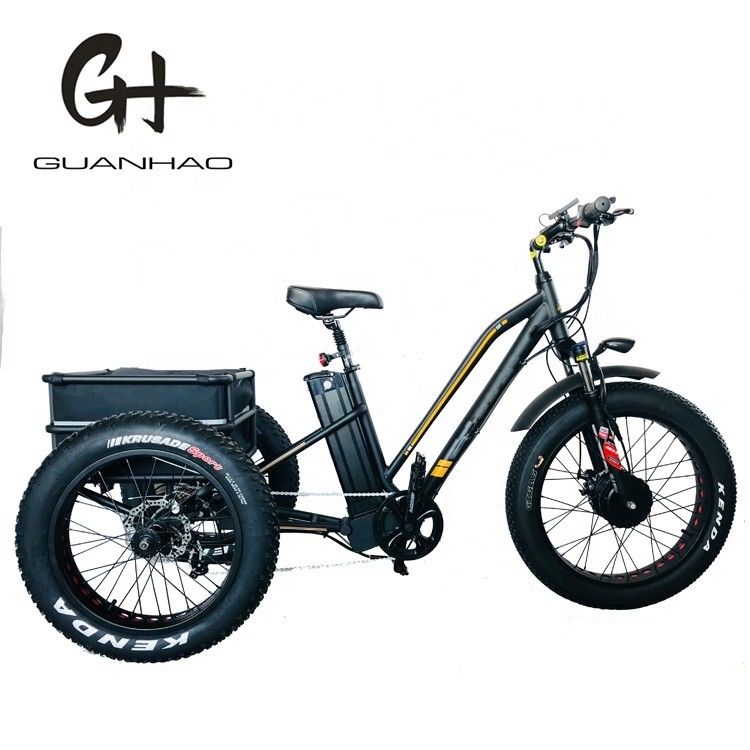 ΗΠΑ 24&quot;20&quot; Μηχανοκίνητο Bafang 8fun 750W 48V 17a Ενήλικες 3 τροχούς φορτίο Ebike Ηλεκτρικό τρίκυκλο